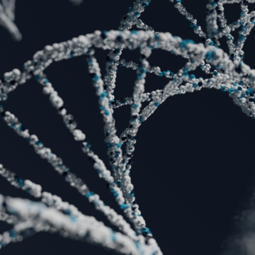 Decoding Wellness: A Personal Approach to Genetic Insight