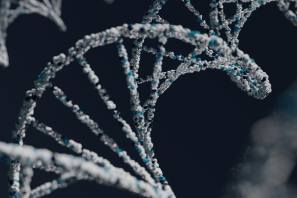 Decoding Wellness: A Personal Approach to Genetic Insight